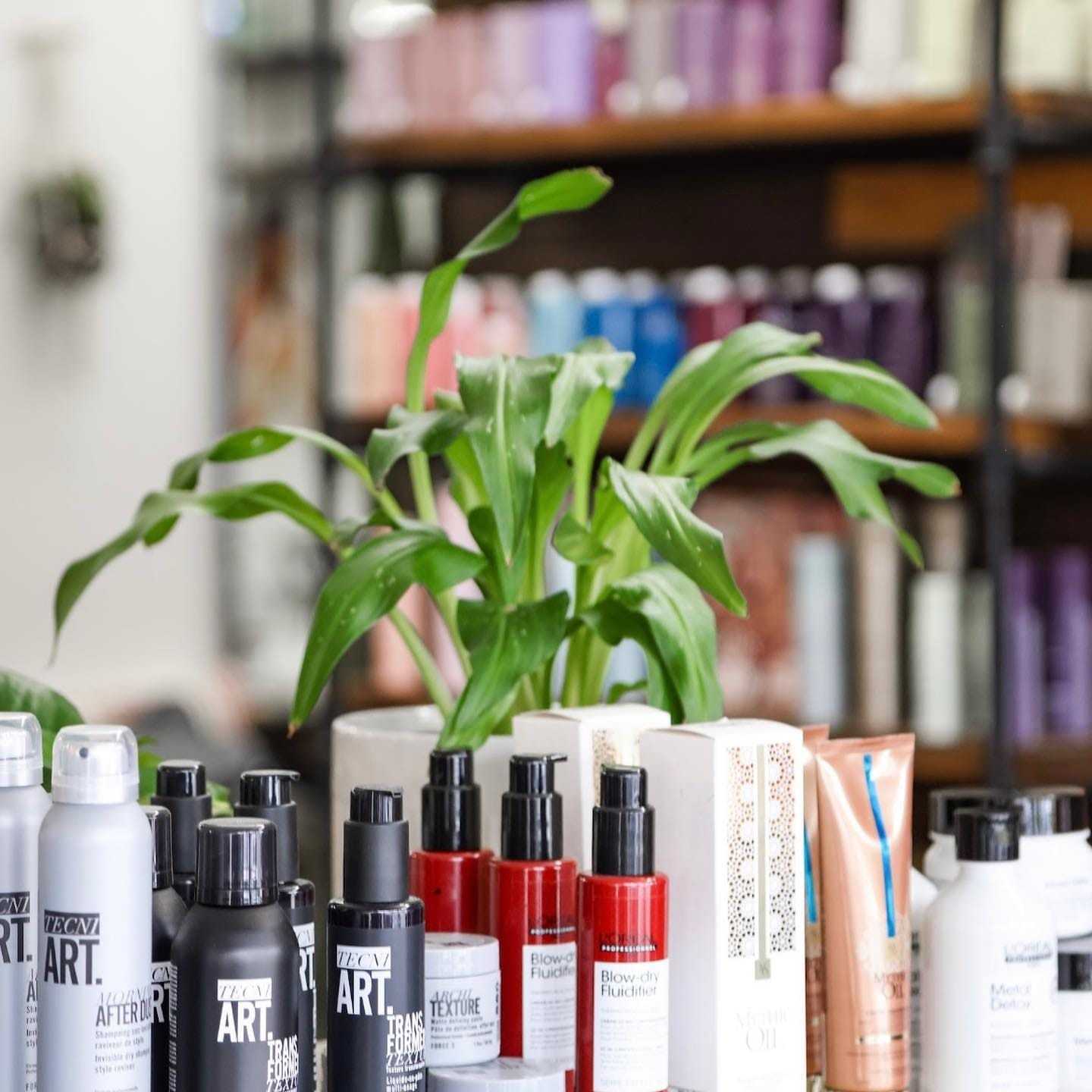 Various hair care products displayed in a salon with a small green plant in the background.